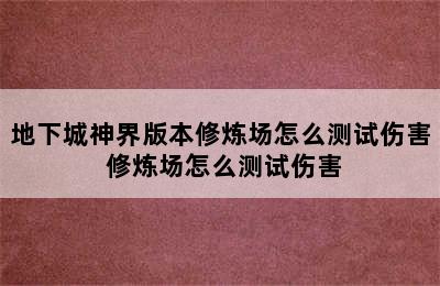 地下城神界版本修炼场怎么测试伤害 修炼场怎么测试伤害